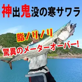 寒鰆の釣りの上手い人