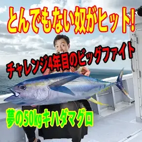 キハダマグロ