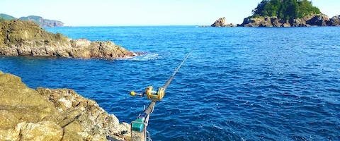 石鯛釣りタックル