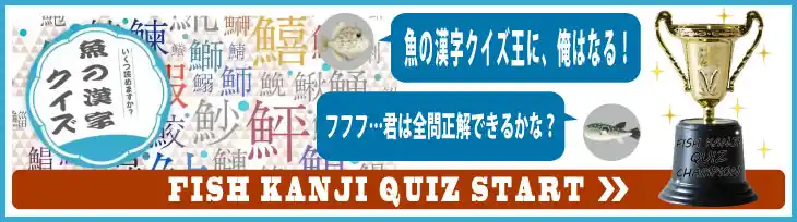 魚の漢字クイズSTARTのイメージ