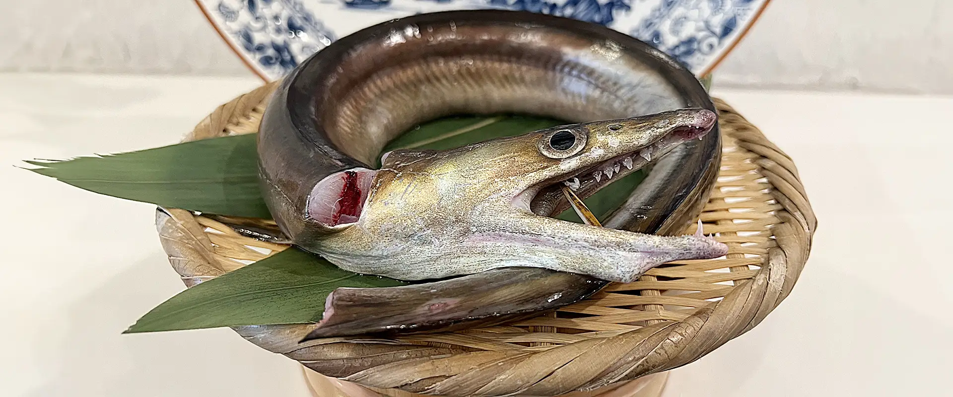 魚へんに「豊」の読み方は？どんな魚？