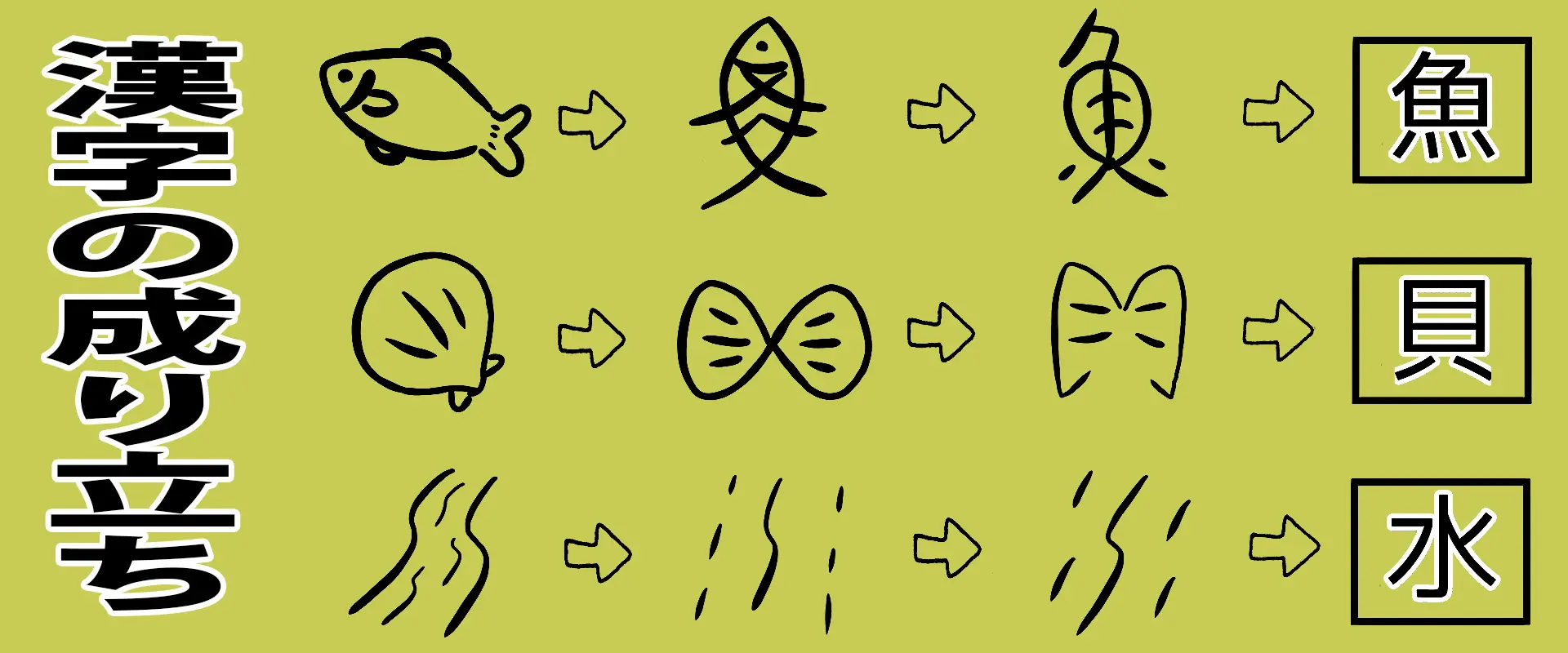 鱧の漢字はなぜ「豊」なのですか？名前の由来