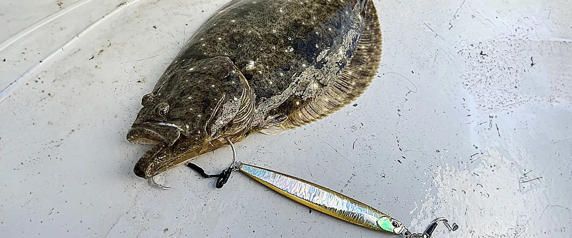 魚へんに「平ら」の読み方は？どんな魚？