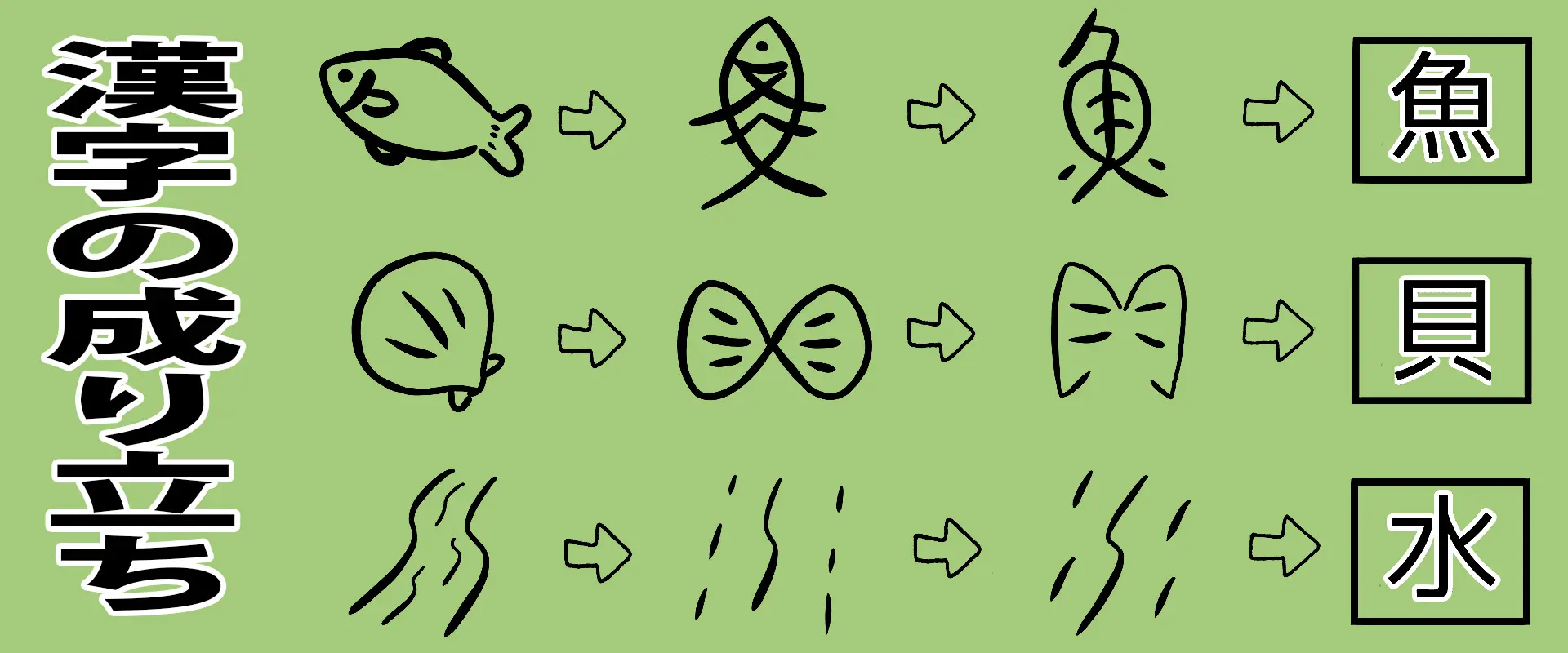 鮃の漢字はなぜ「平」なのですか？名前の由来