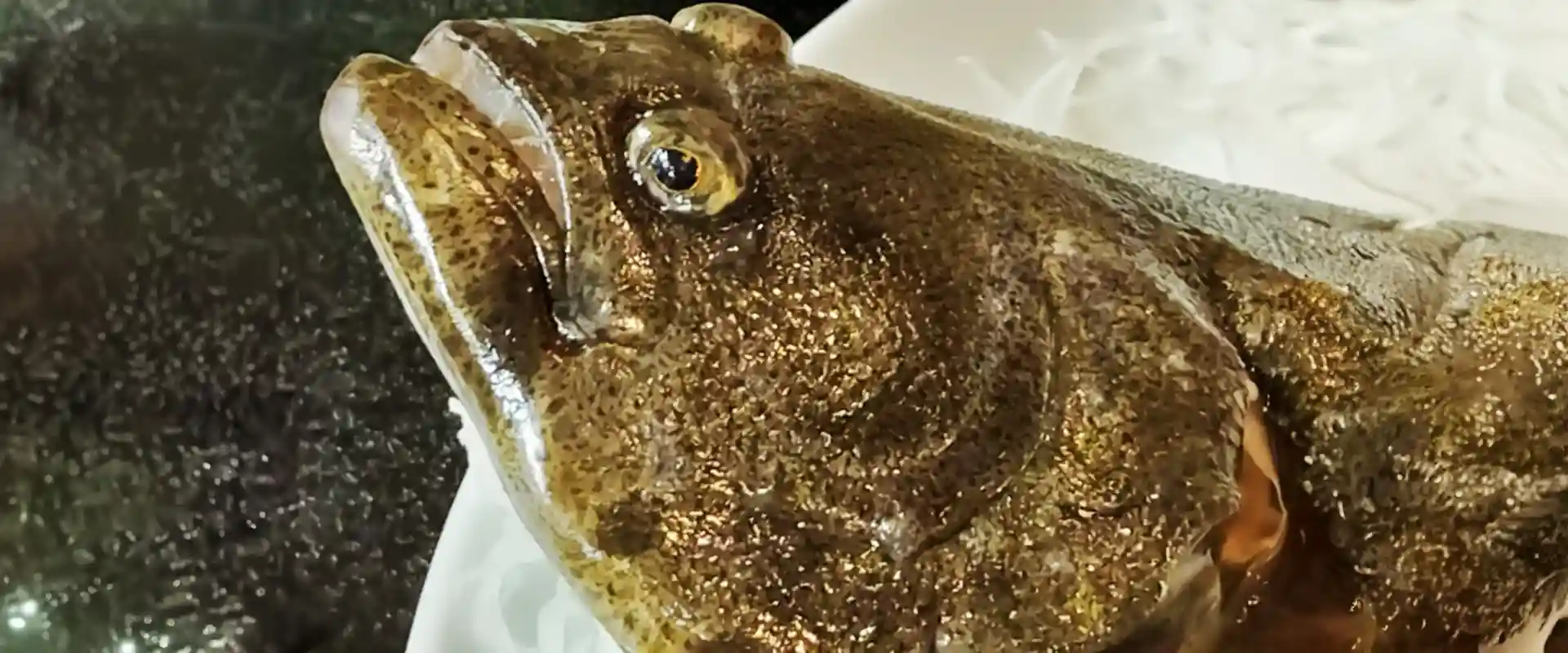 「鮃」の名前の由来