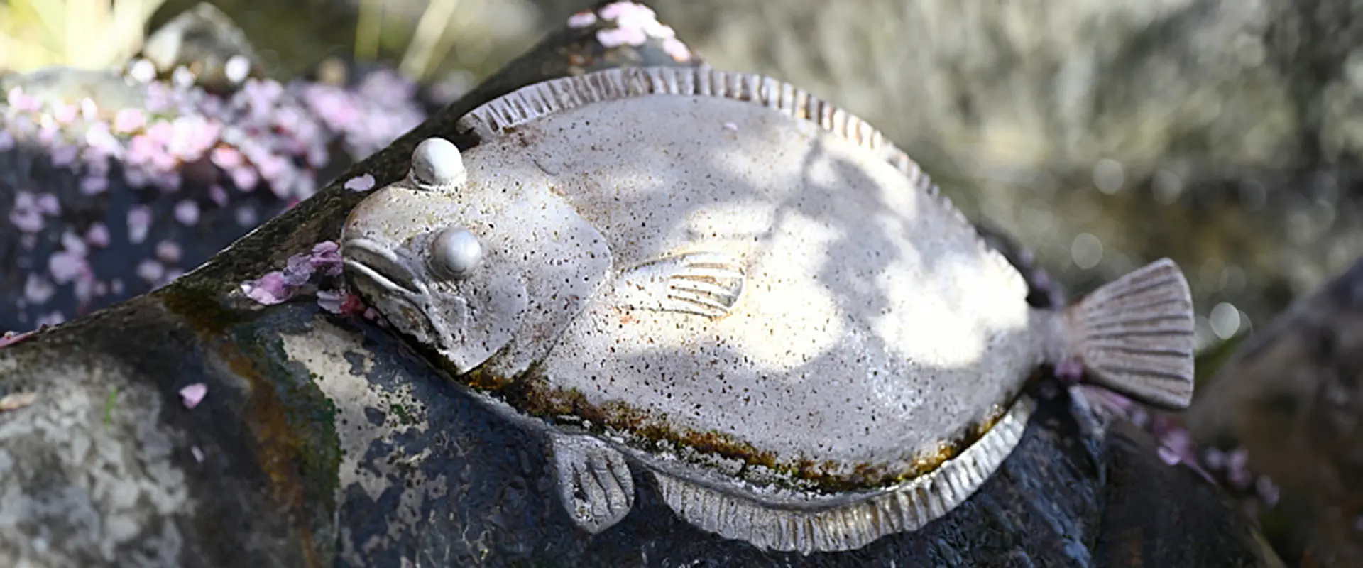 魚へんに葉（蝶）の読み方は？どんな魚？「鰈」の名前の由来 まとめ