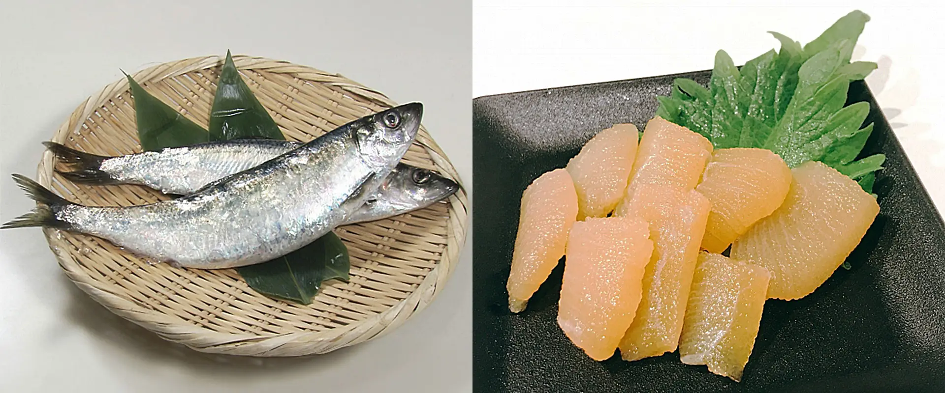 魚へんに「希」の読み方は？どんな魚？特徴