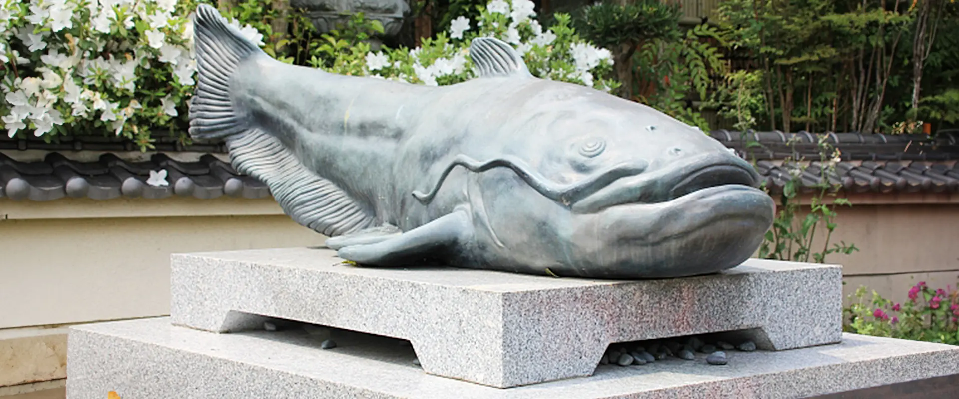 「鯰」の名前の由来