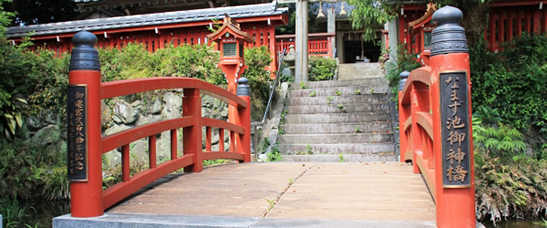 魚へんに「念」じるの読み方は？どんな魚？「鯰」の名前の由来 まとめ