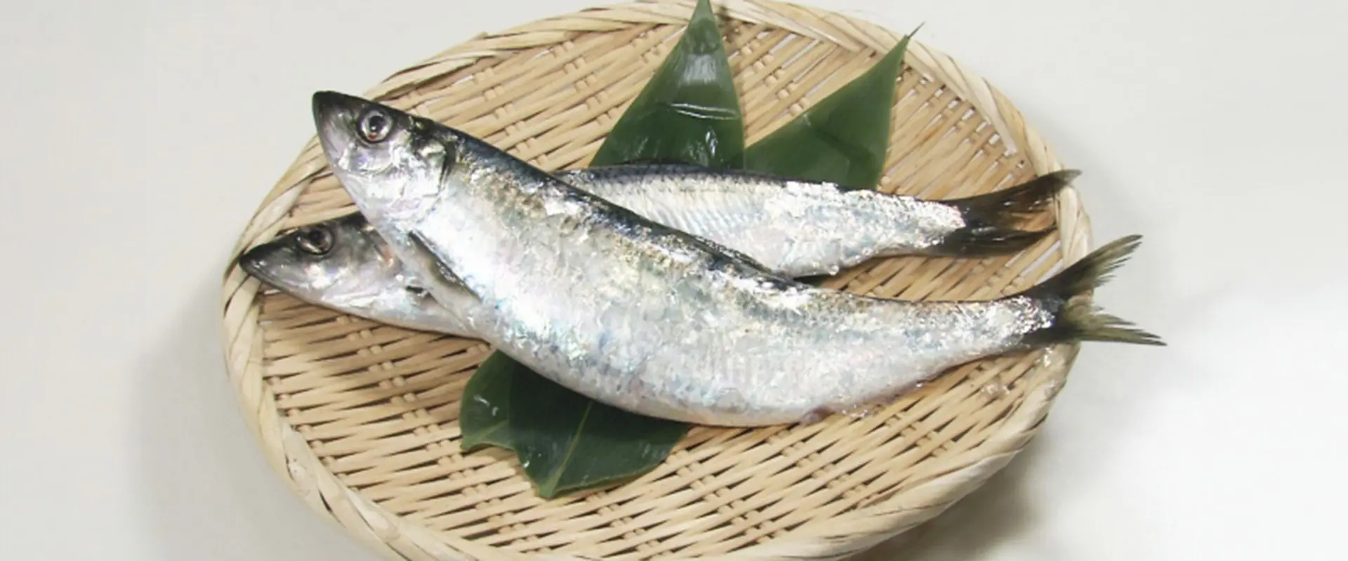魚へんに「東」で何と読む？「春告魚」