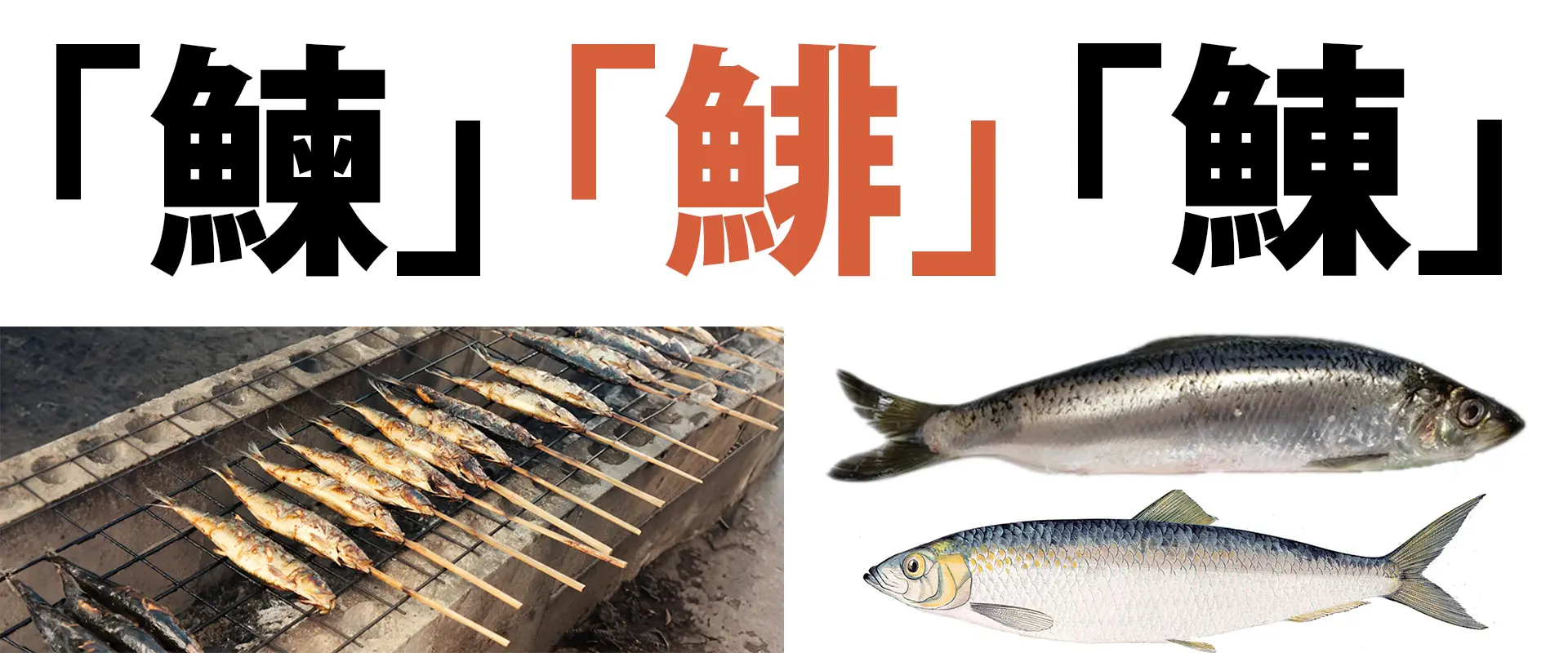 「鰊」の読み方と由来・漢字の違い