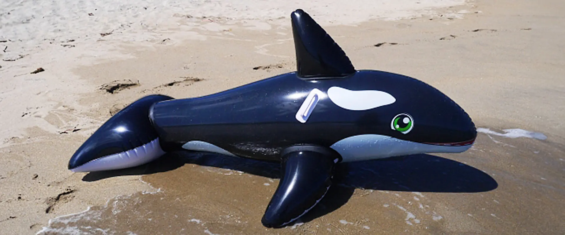 魚へんに「虎」の漢字の読み方は？どんな魚？鯱の名前の由来 まとめ