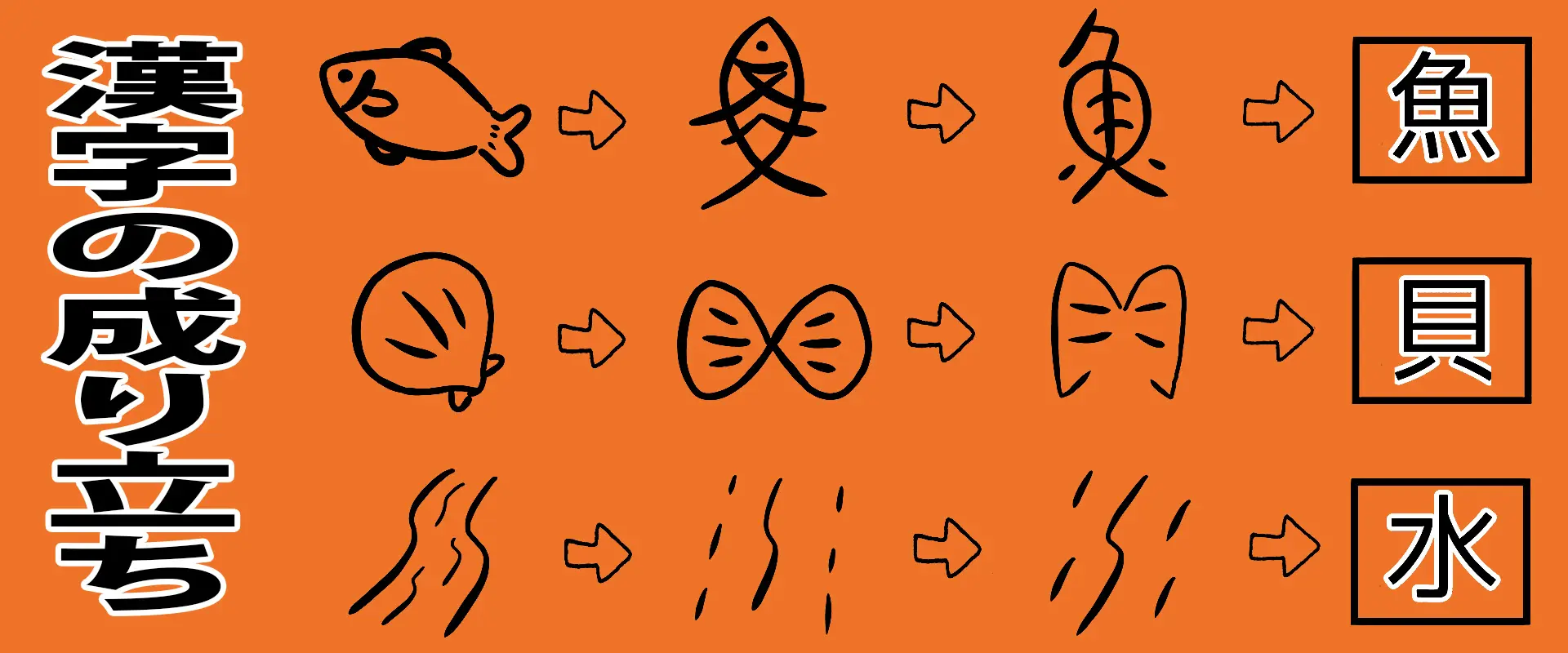 鱪の漢字はなぜ「暑」なのですか？英語名は？