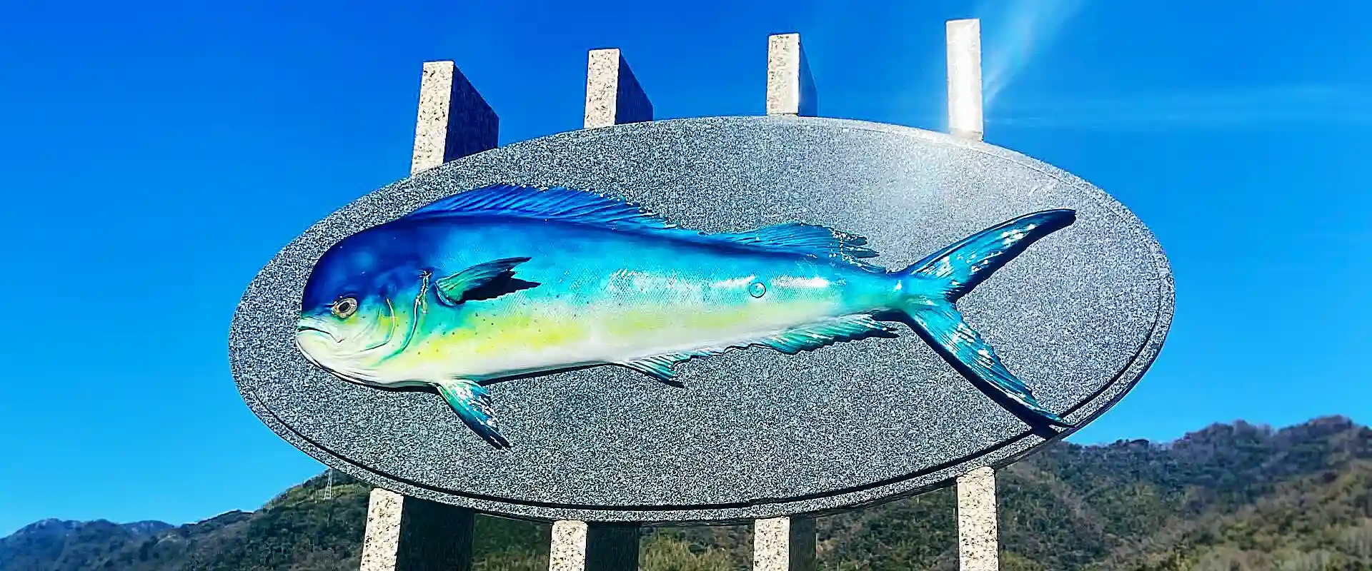 魚へんに「暑い」と書いて何と読む？シイラの由来と別名・英語 まとめ