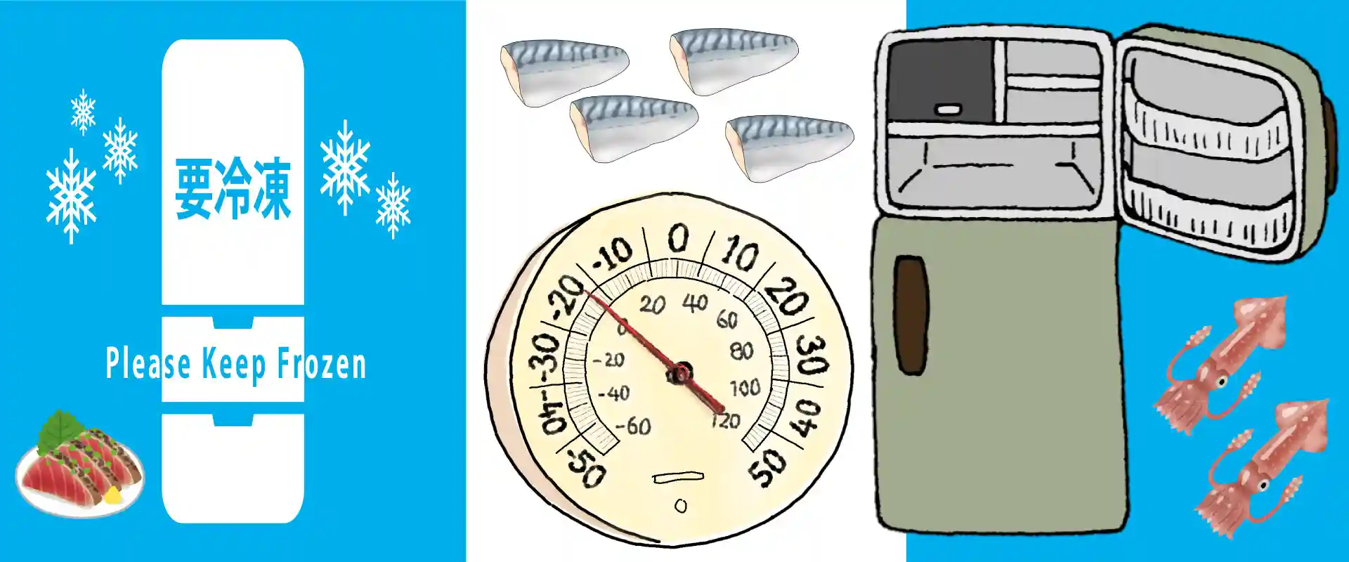家庭用冷凍庫でアニサキスを撃退！