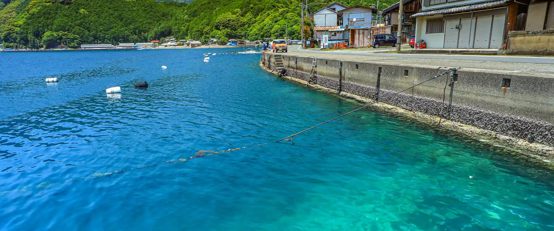 カマスの釣れる時間帯