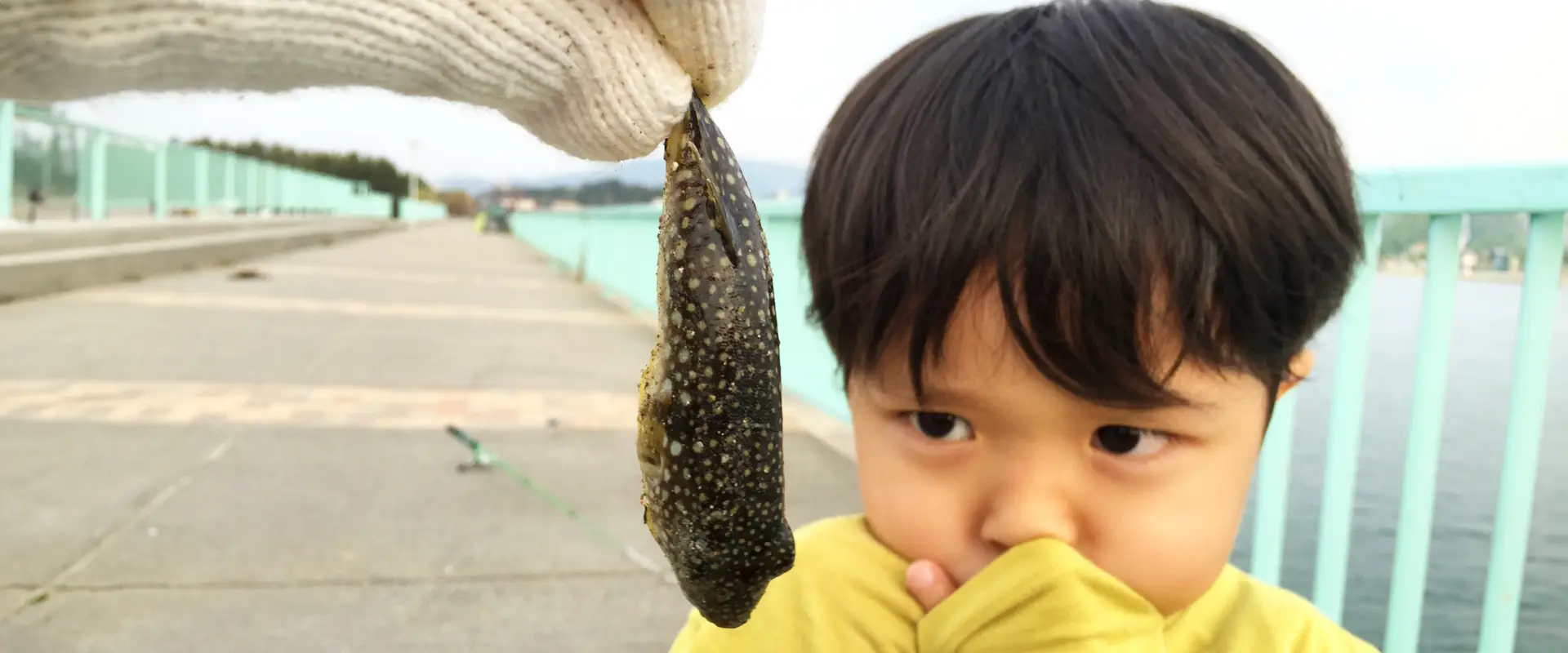 アニサキス症の症状は？