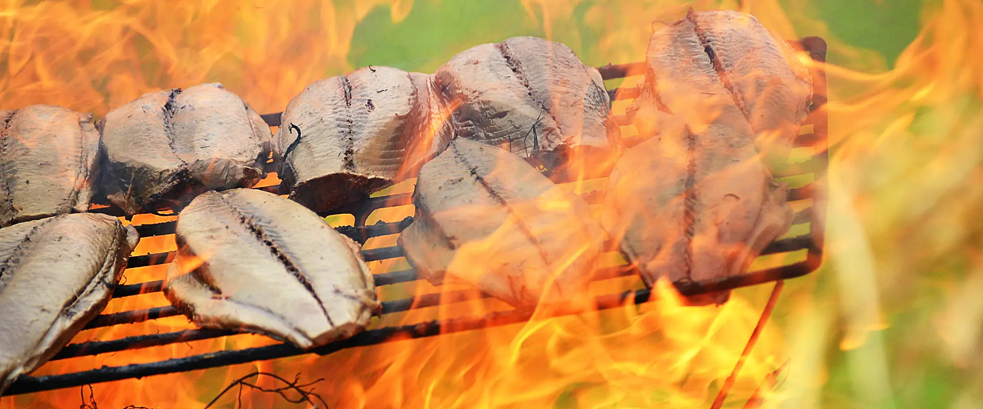 カツオのたたきにアニサキスいる？なぜたたき？なぜ炙る？