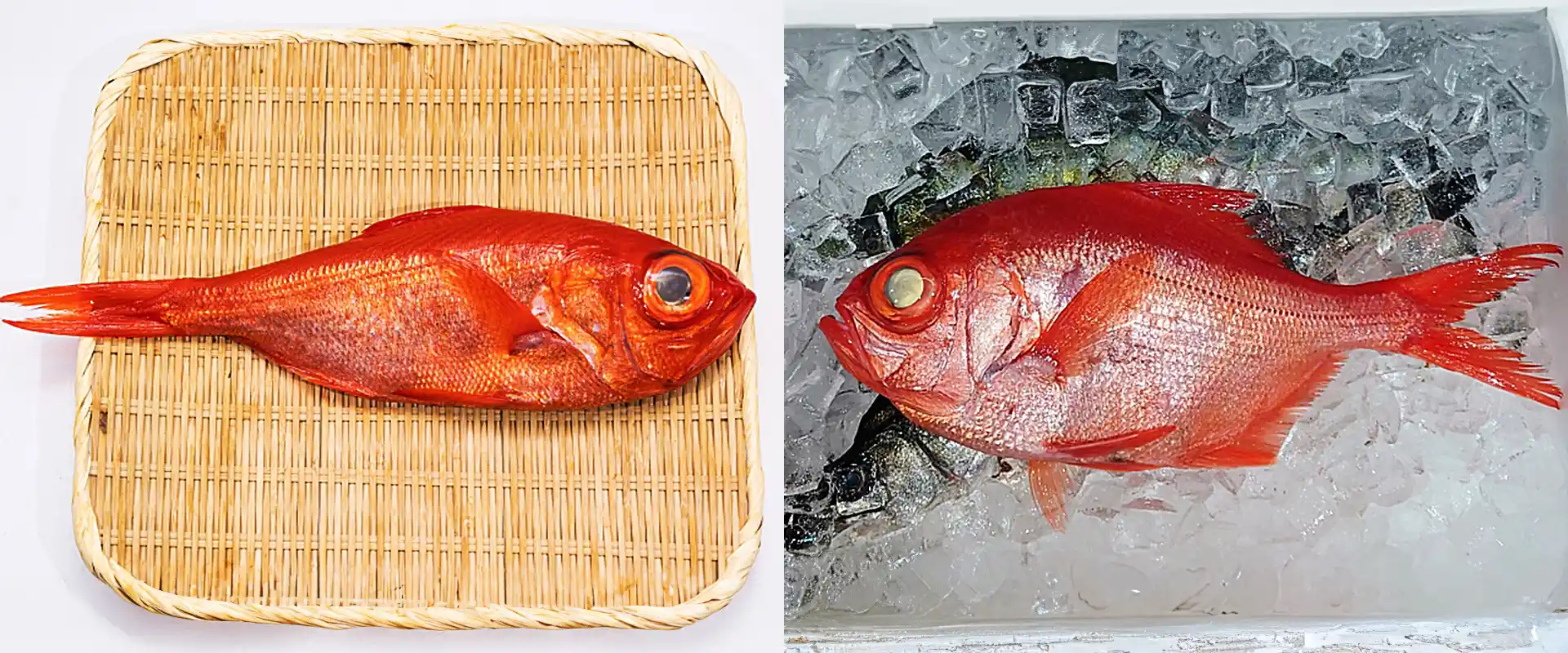 ナンヨウキンメとの違い