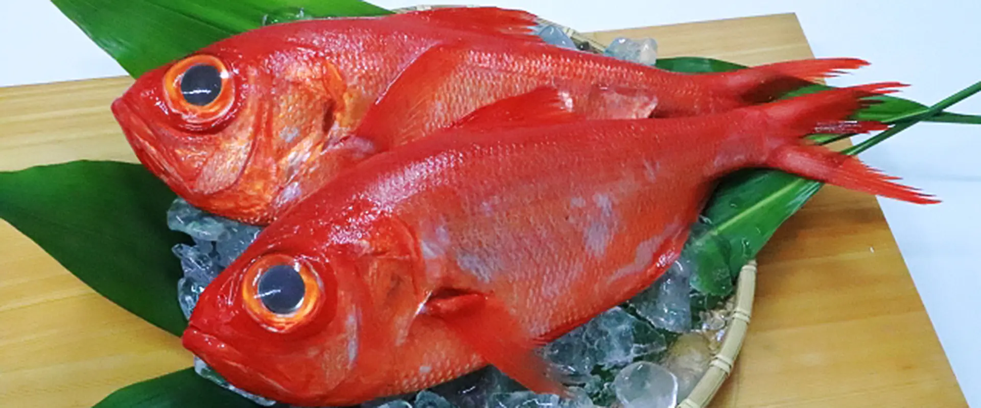 金目鯛は高級魚