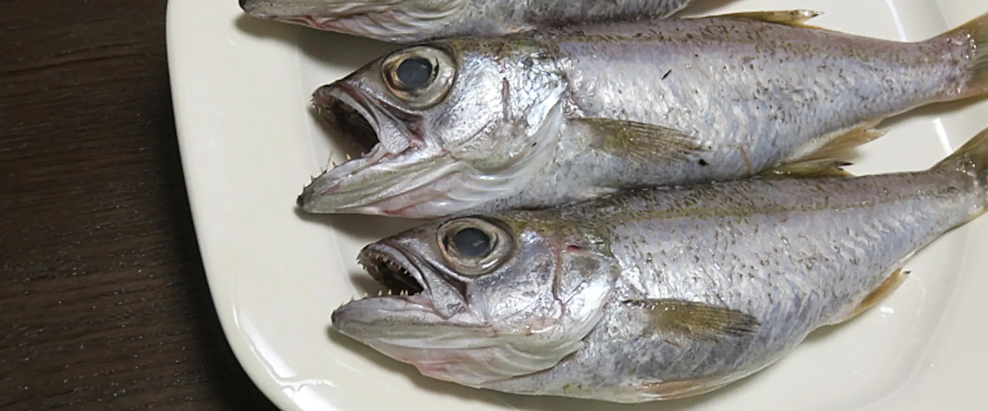 黒ムツは高級魚