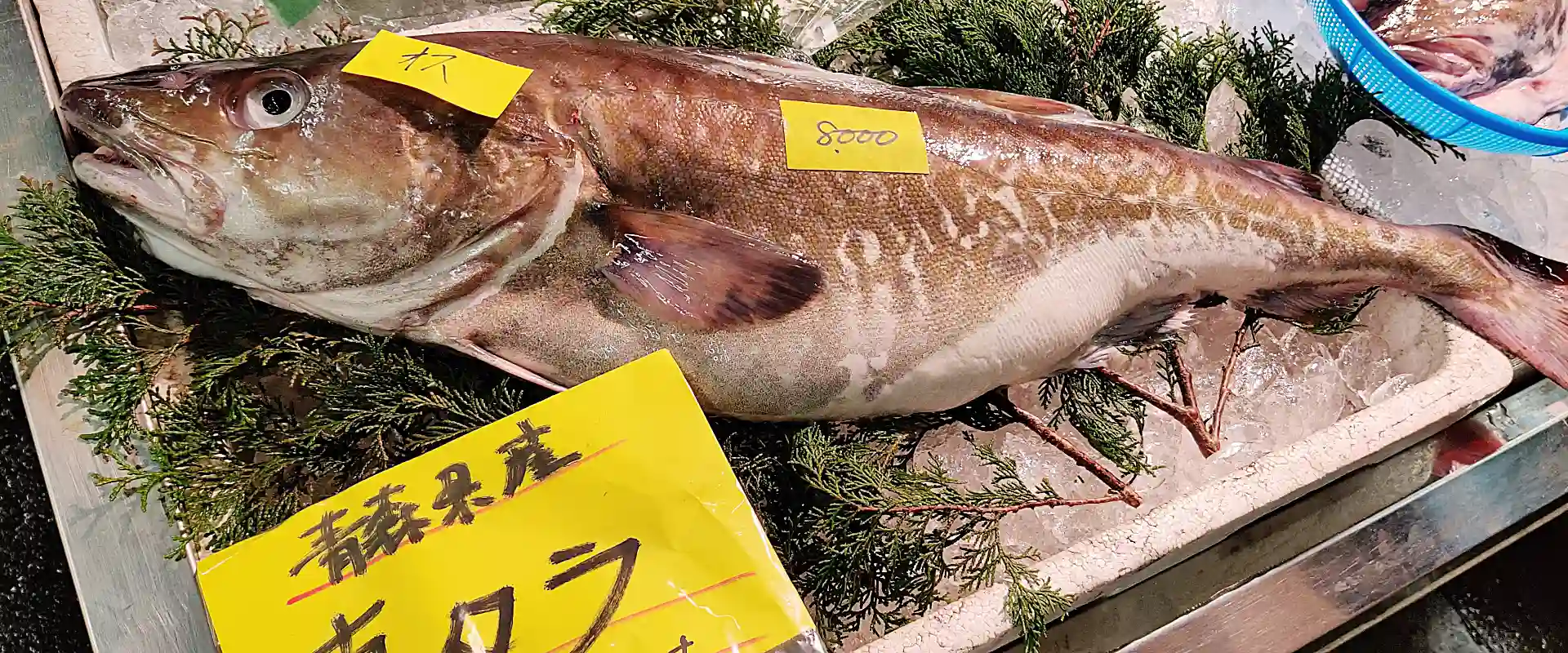 鱈の臭み取りに酒は簡単？臭い匂いは塩して熱湯？