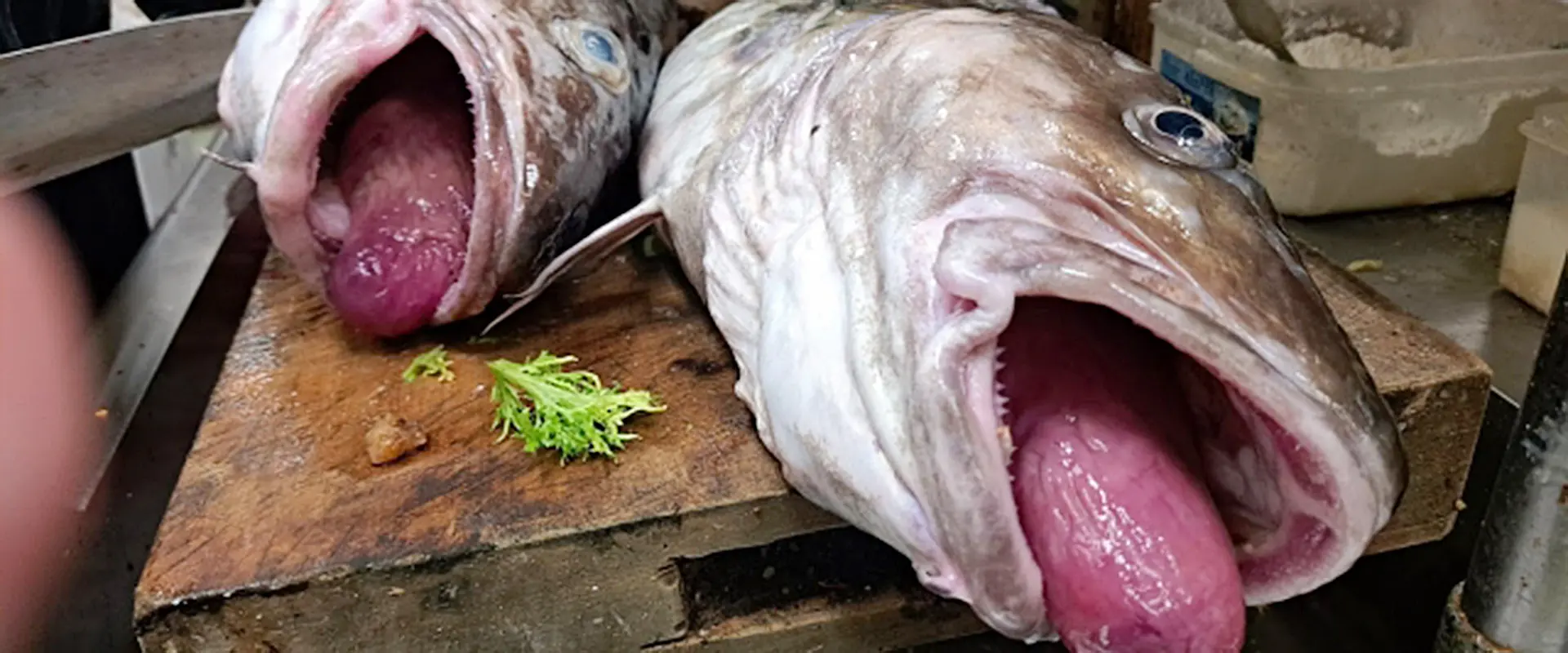 たらふく（鱈腹）食べる