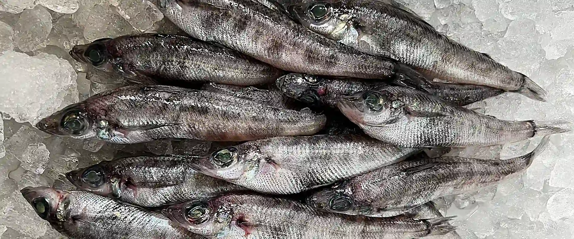 メヒカリって魚の食べ方は唐揚げ丸ごと？下ごしらえ下処理なし？