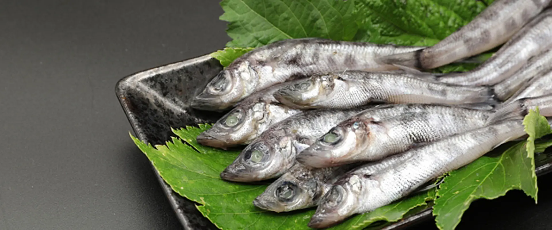 そもそもメヒカリとは？どんな魚？