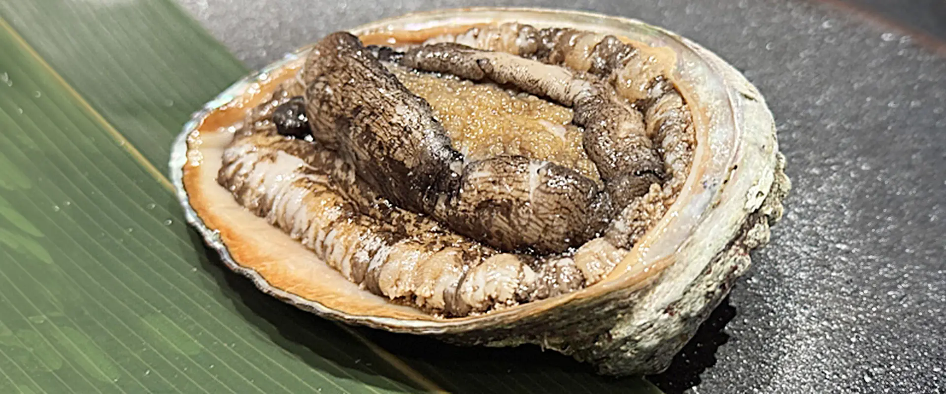 「魚夏」アワビ