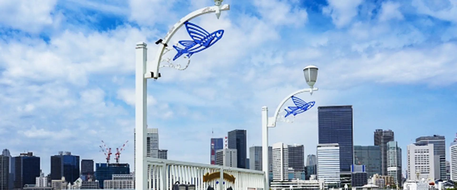 トビウオの刺身はまずい？食べ方は塩焼き？フライパンで美味しく まとめ