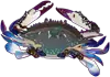 ワタリガニアイコン
