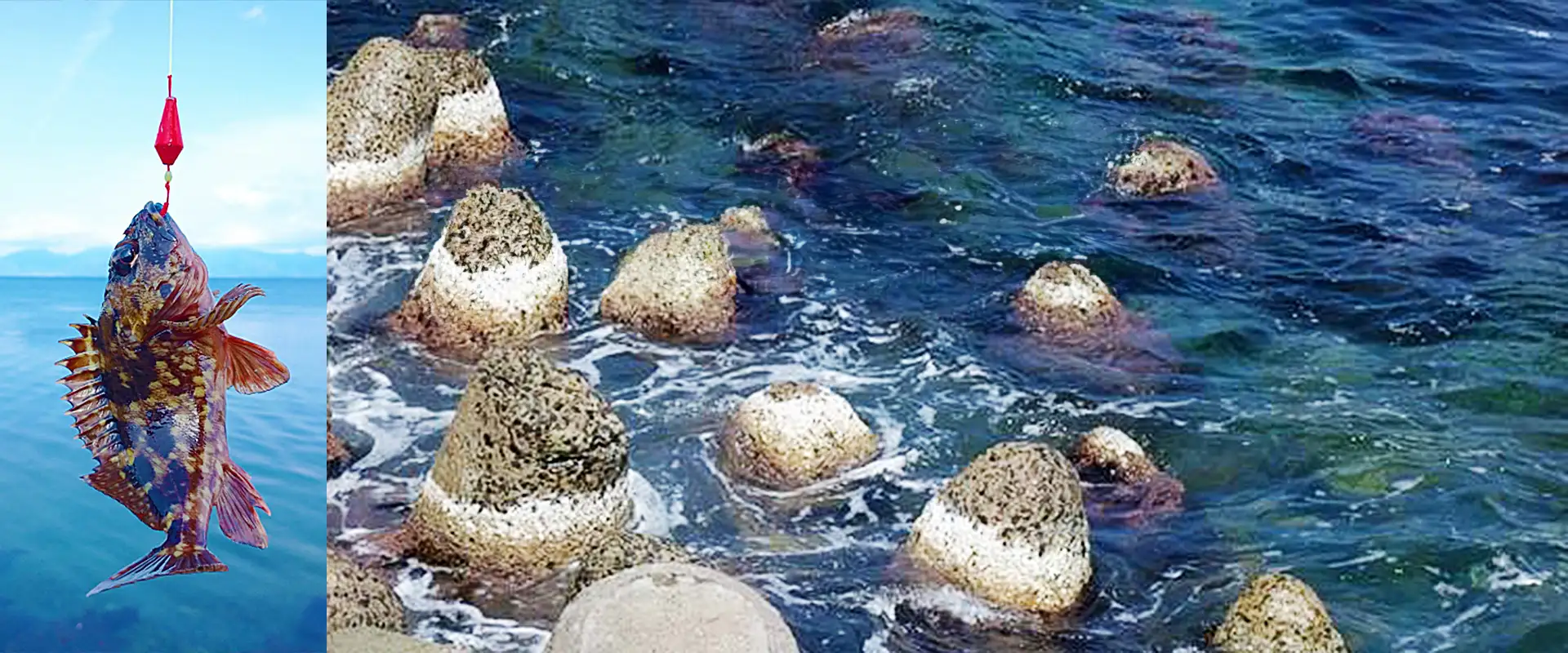 ブラクリの結び方はサルカン？直付け？釣り方は餌でチョイ投げ？まとめ