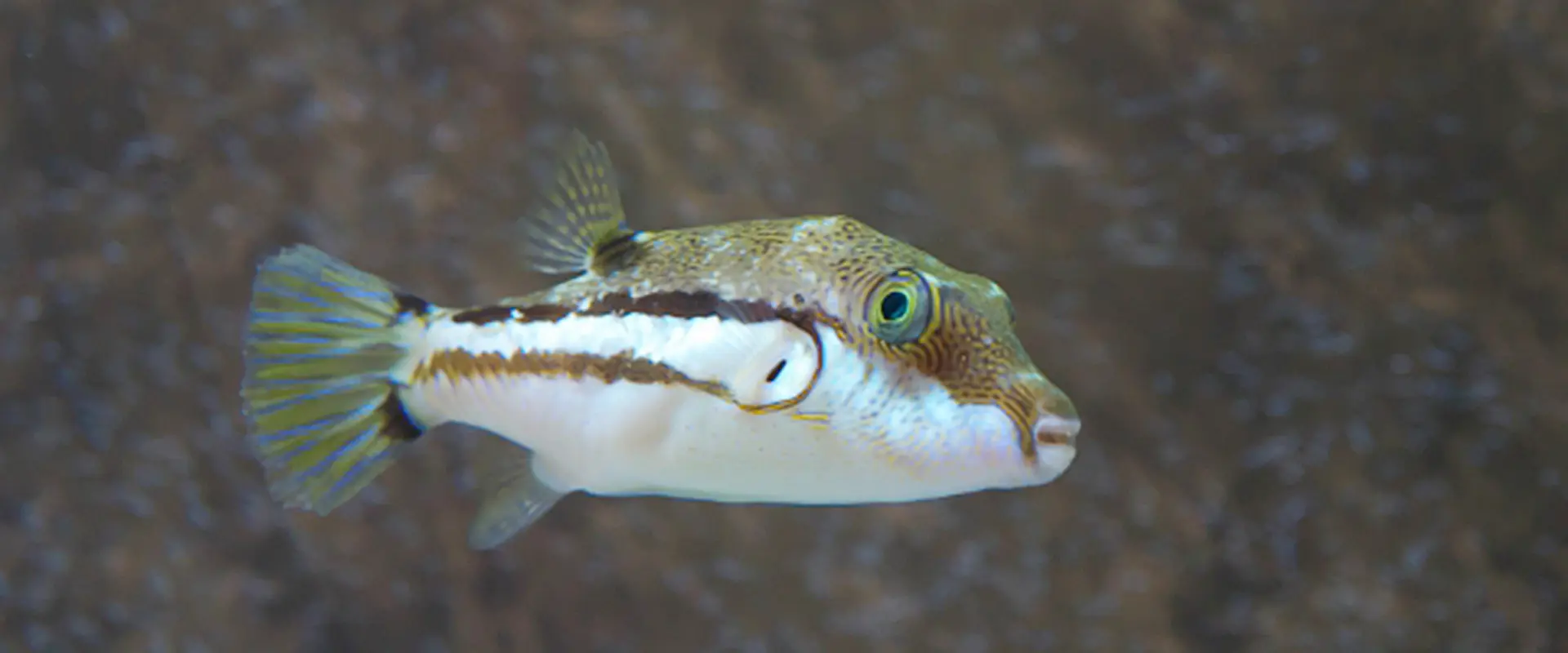 釣り人から嫌われる理由