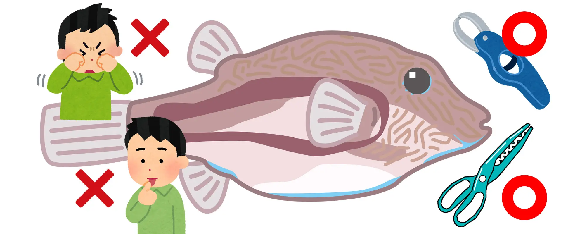 触ったらどうなる？