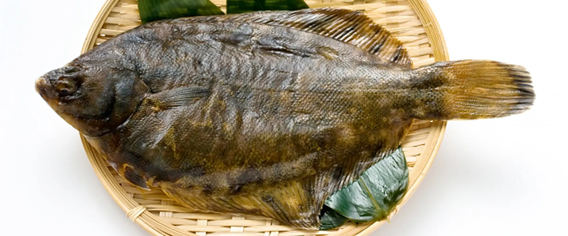 黒カレイの味はまずい？臭くない下処理は？クロガシラとの違い まとめ