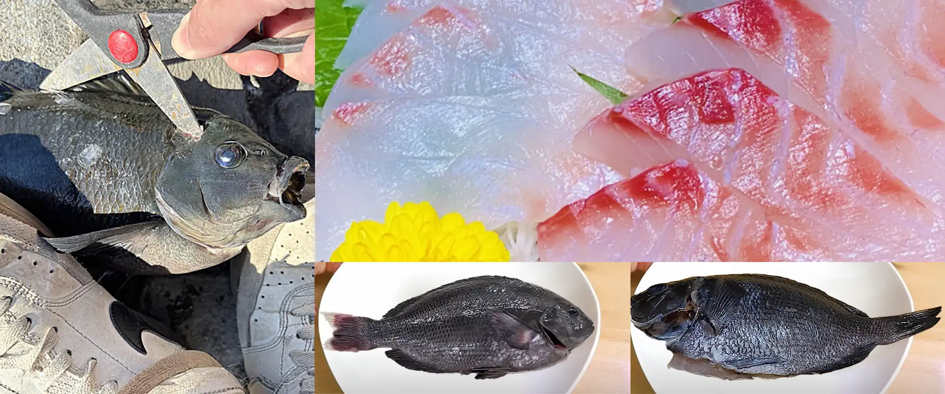 刺身は寝かせる