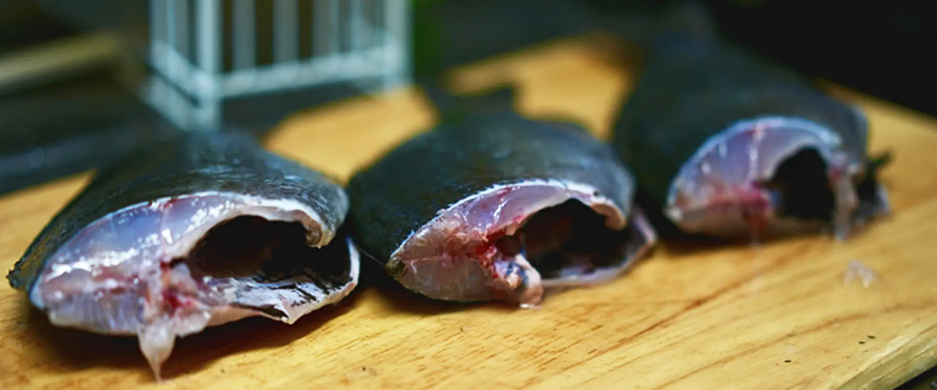 メジナ（グレ）料理の食べ方は塩焼き？