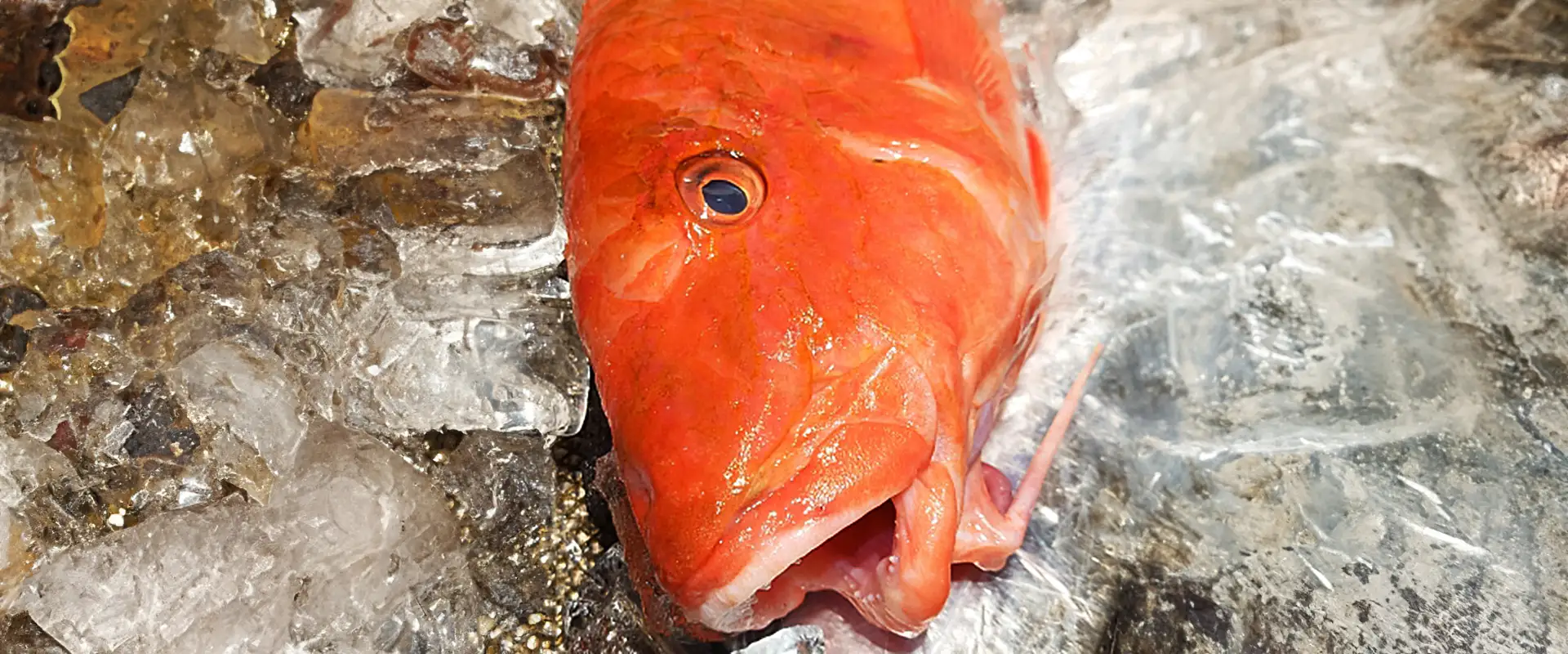 おじさんの値段