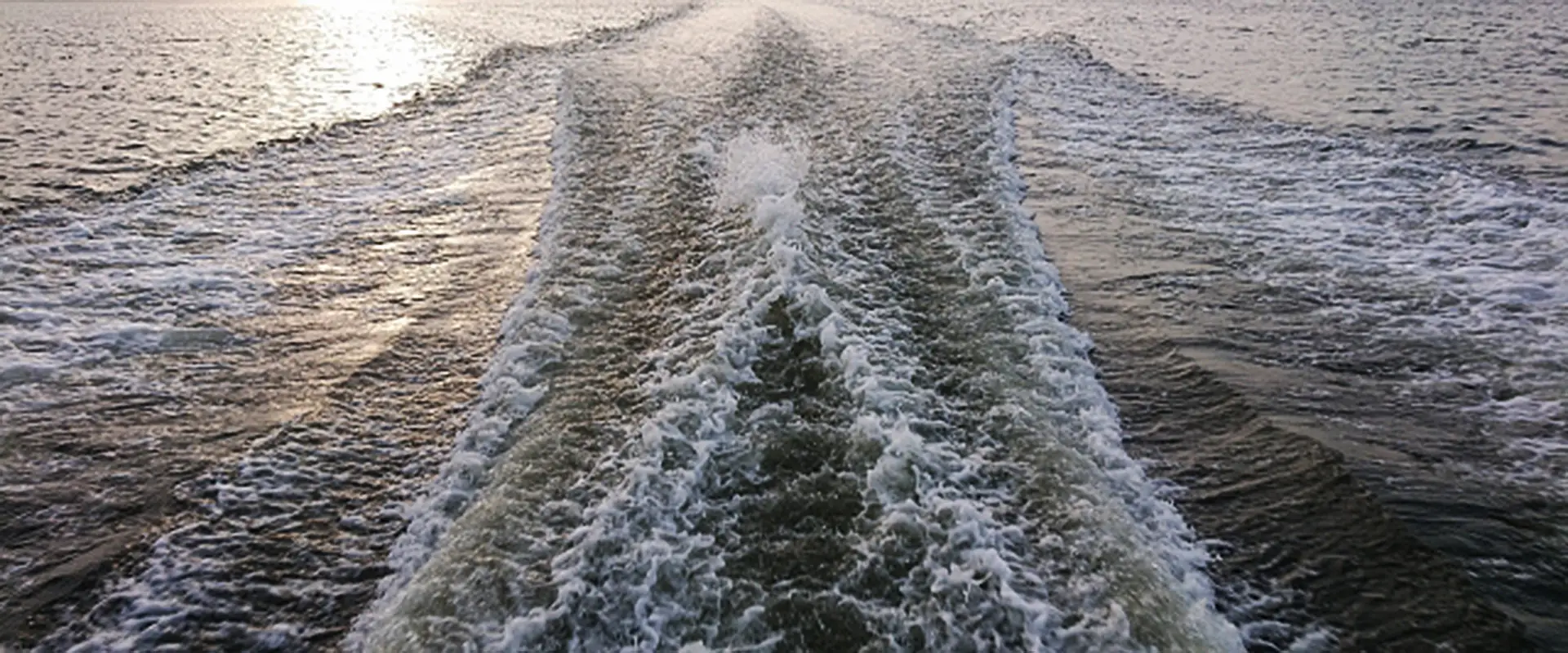 見た目でわかる？