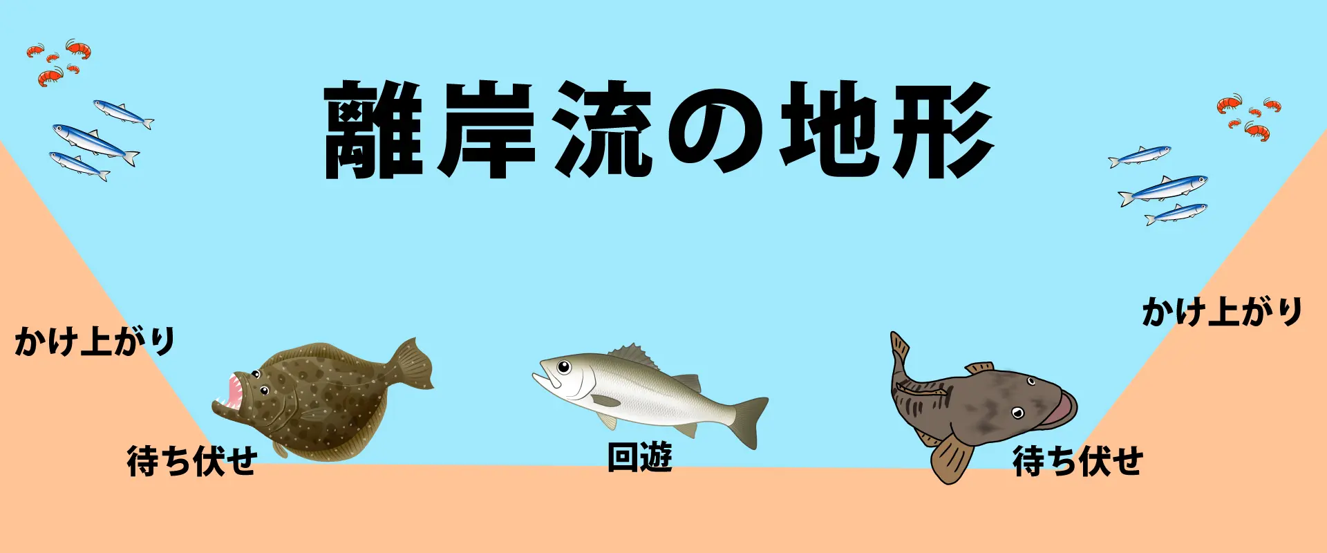 離岸流はなぜ釣れる？