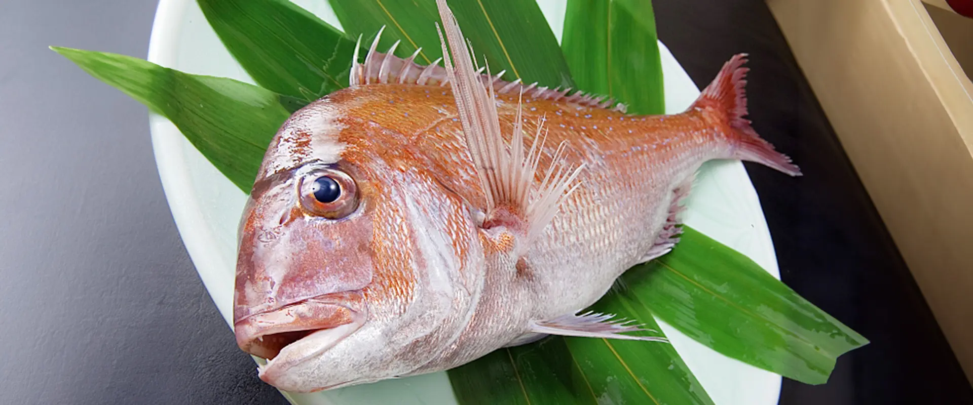 天然桜鯛しゃぶはまずい？美味しくない？