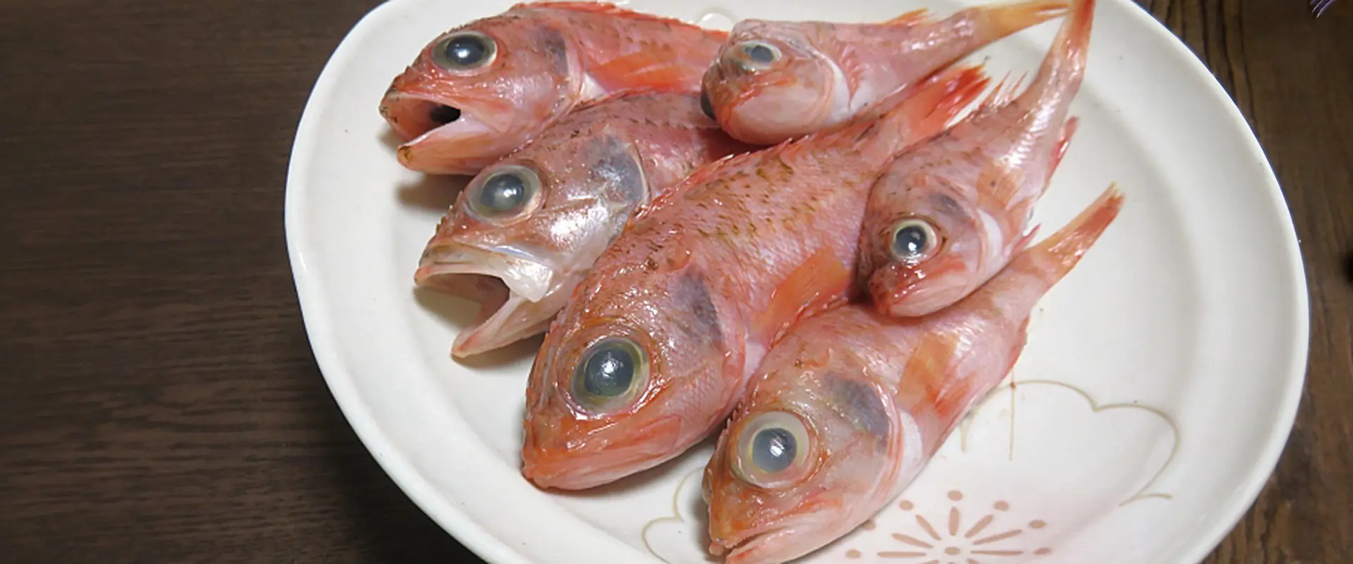 そもそもユメカサゴとは？どんな魚？