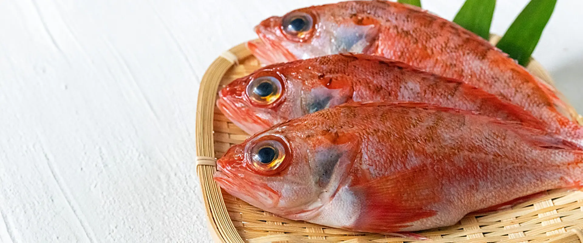 ユメカサゴの食べ方は刺身か塩焼き？