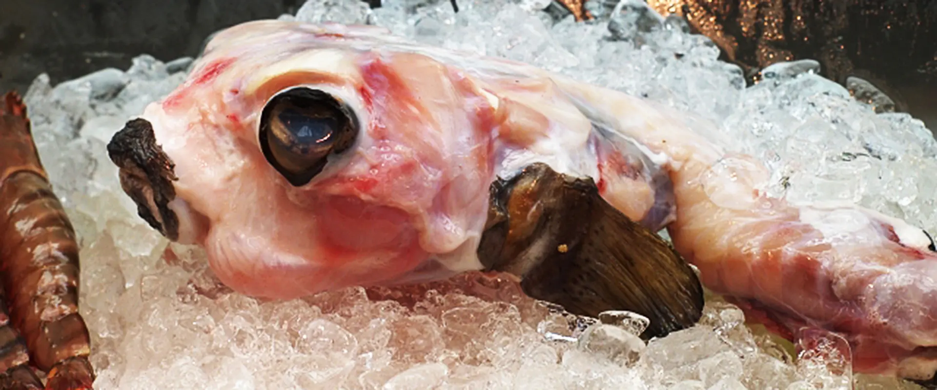 刺身食べれる？