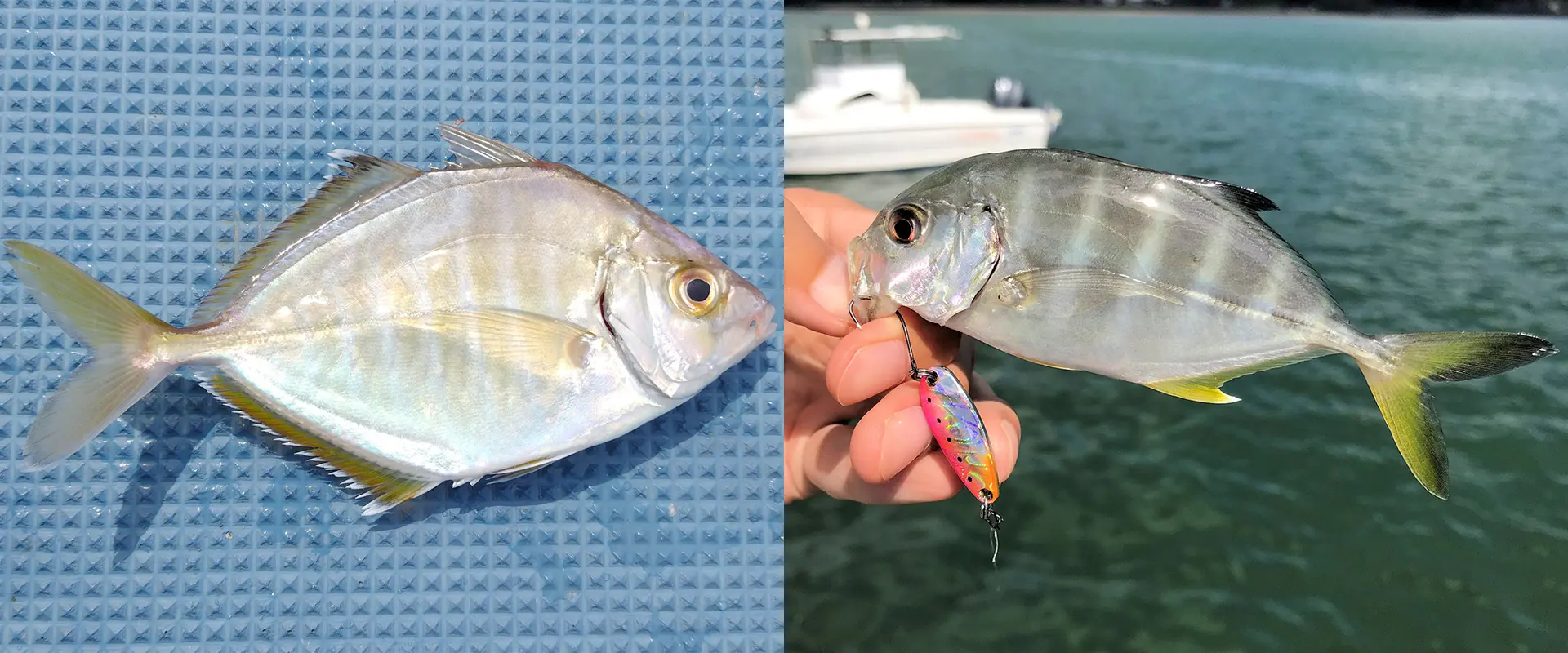 メッキとの違い