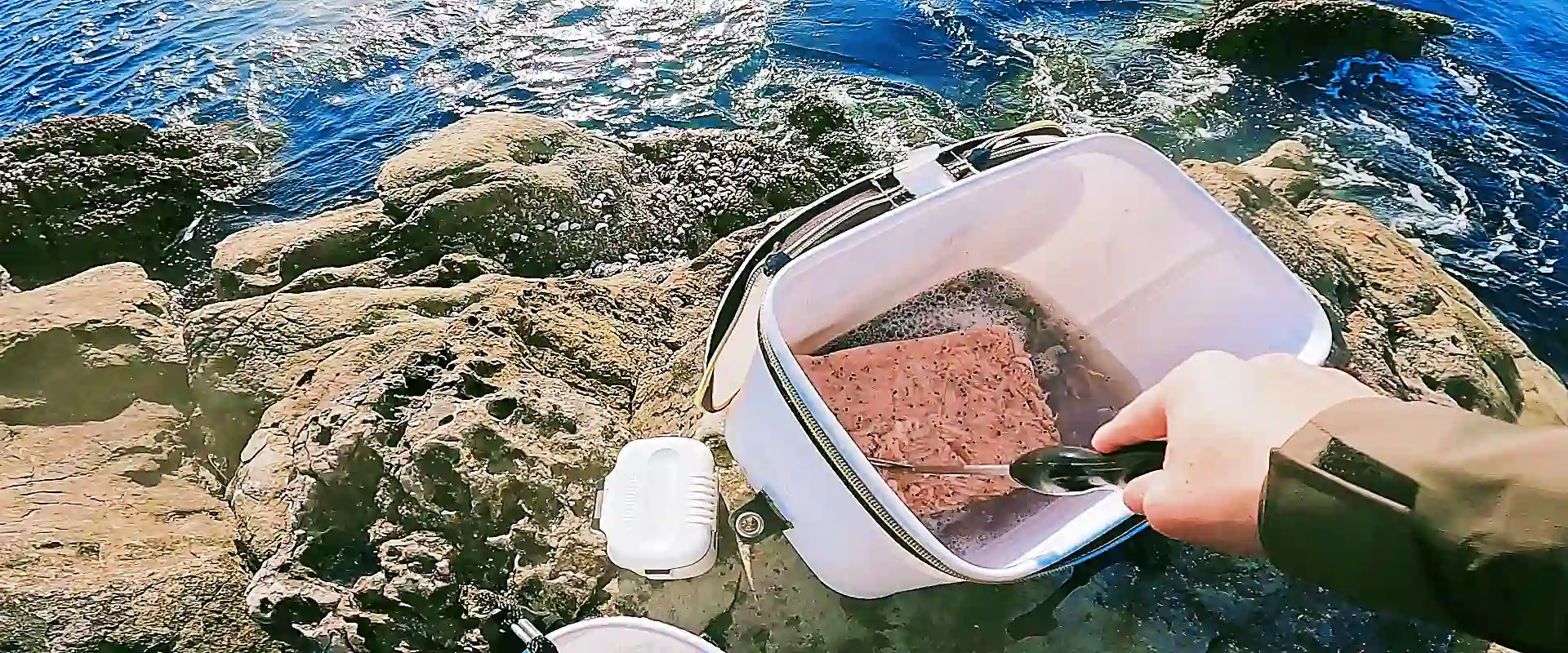 オキアミとエビは違う？アミエビと違い？ブロックのサイズの値段