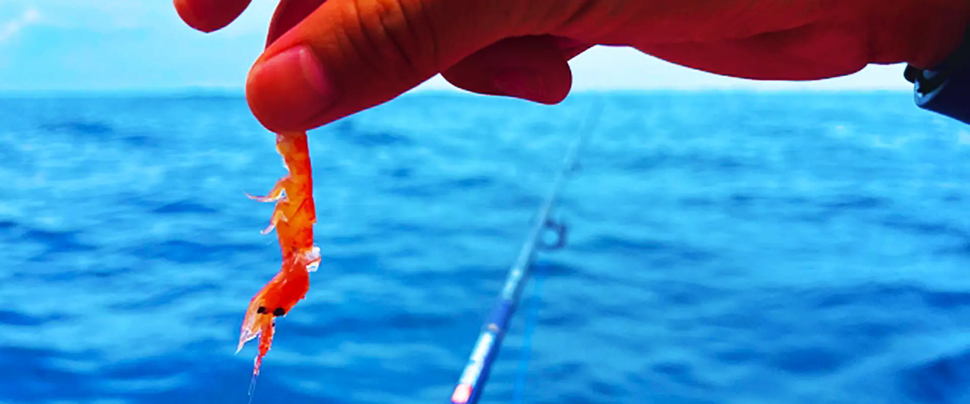 じゃあアミエビは「アミ？」「エビ？」