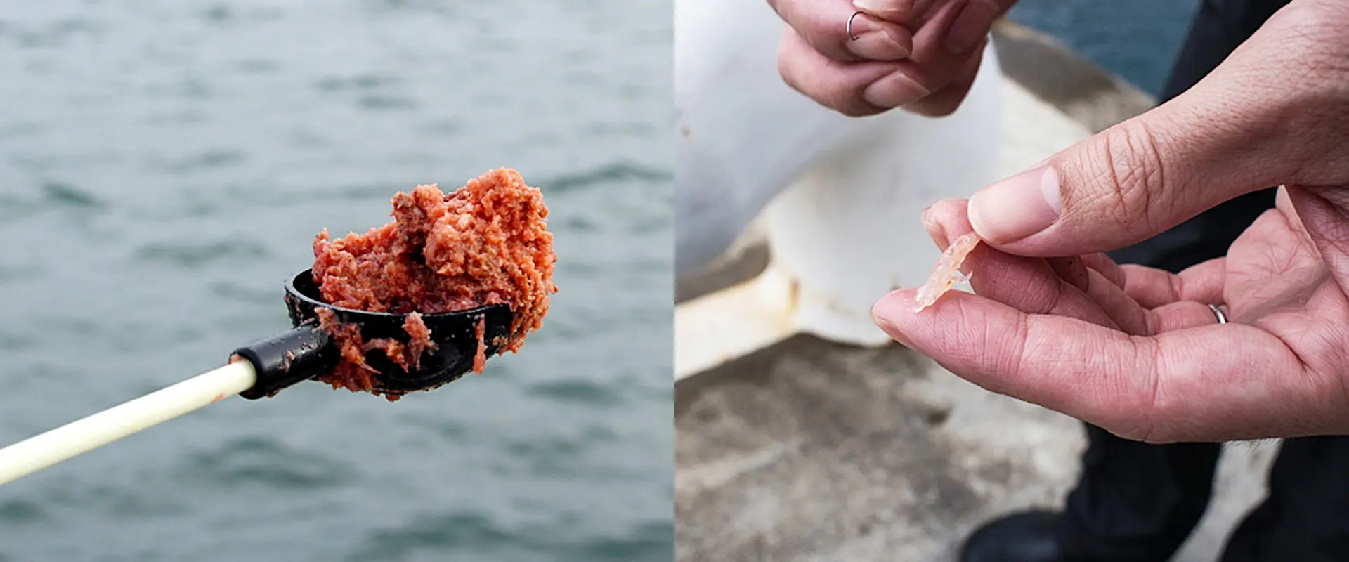 オキアミとアミエビの使い分けは？