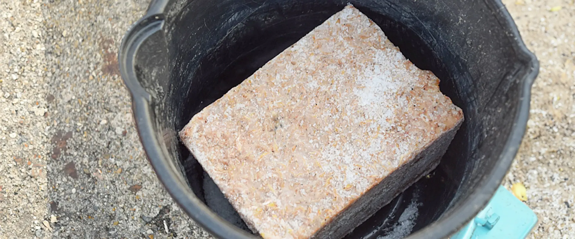 「オキアミ」「アミエビ」ブロックのサイズの値段